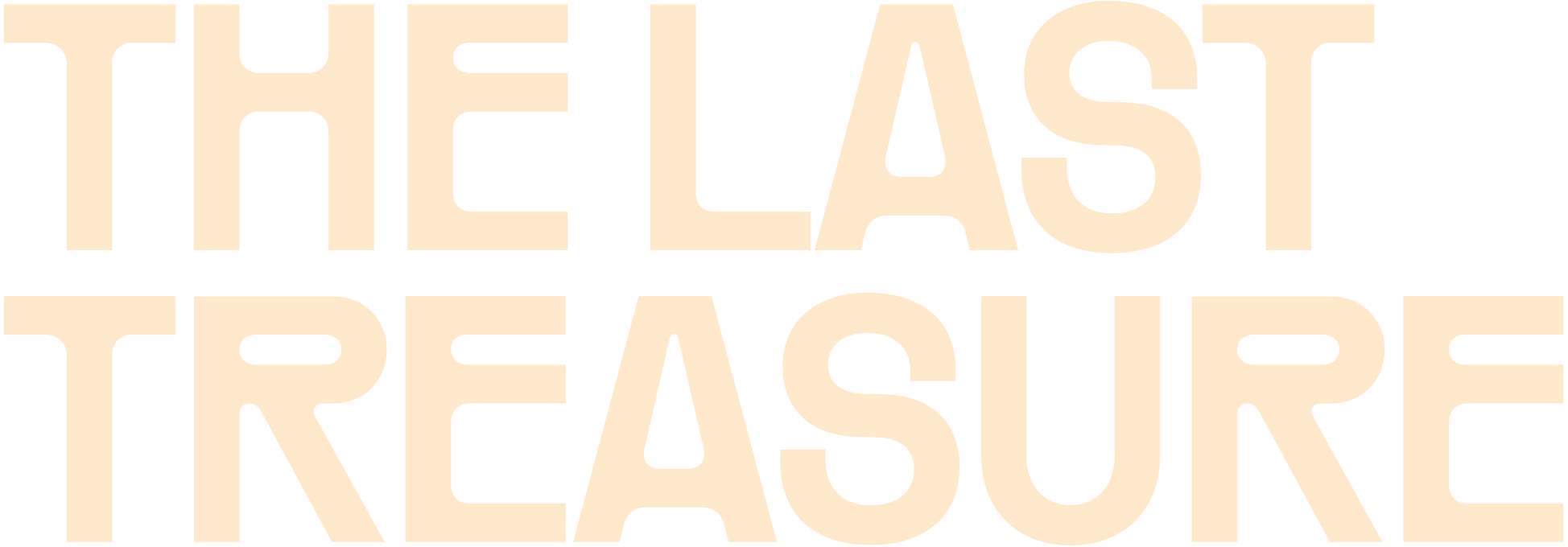 Logo The Last Treasure